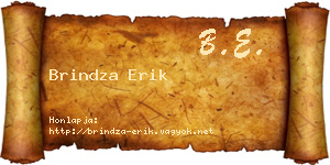 Brindza Erik névjegykártya